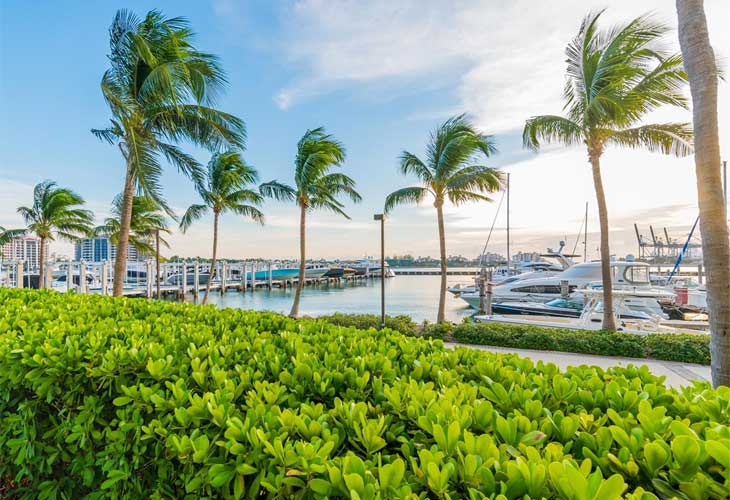 Murano At Portofino Condos For Sale & Rent | Picture 4