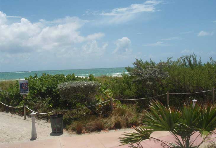 Port Royale Condos