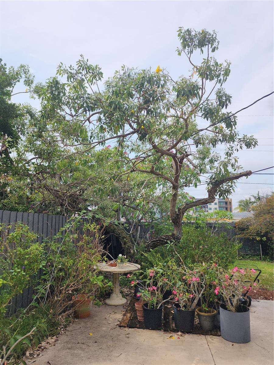 2740 46th Ct, Dania Beach, FL 33312 | Picture 24