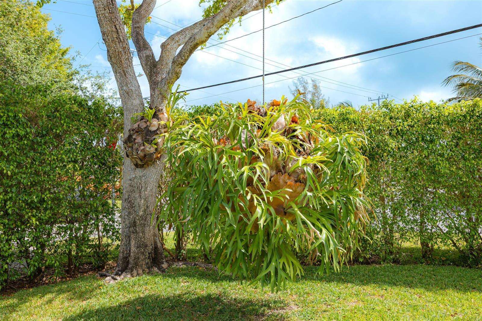 1924 18th, Fort Lauderdale, FL 33305 - For Sale photo 44