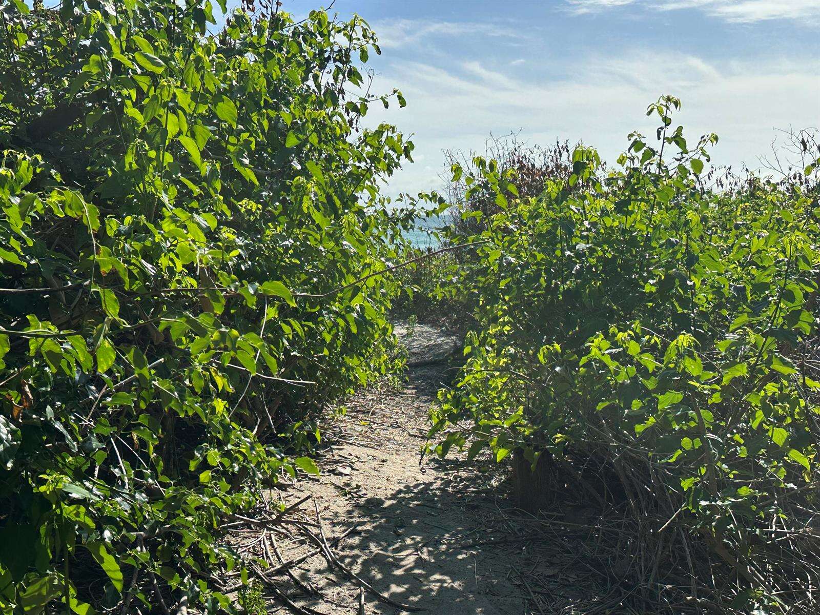 4200 Surf, Hollywood, FL 33019 - For Sale photo 33