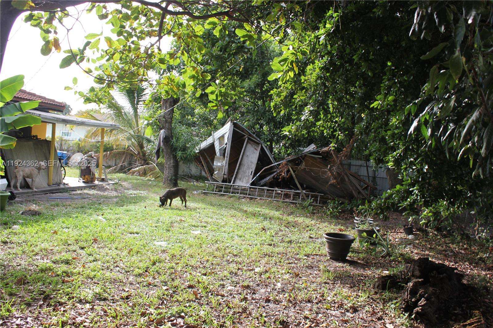 3135 82nd St, Miami, FL 33147 | Picture 5