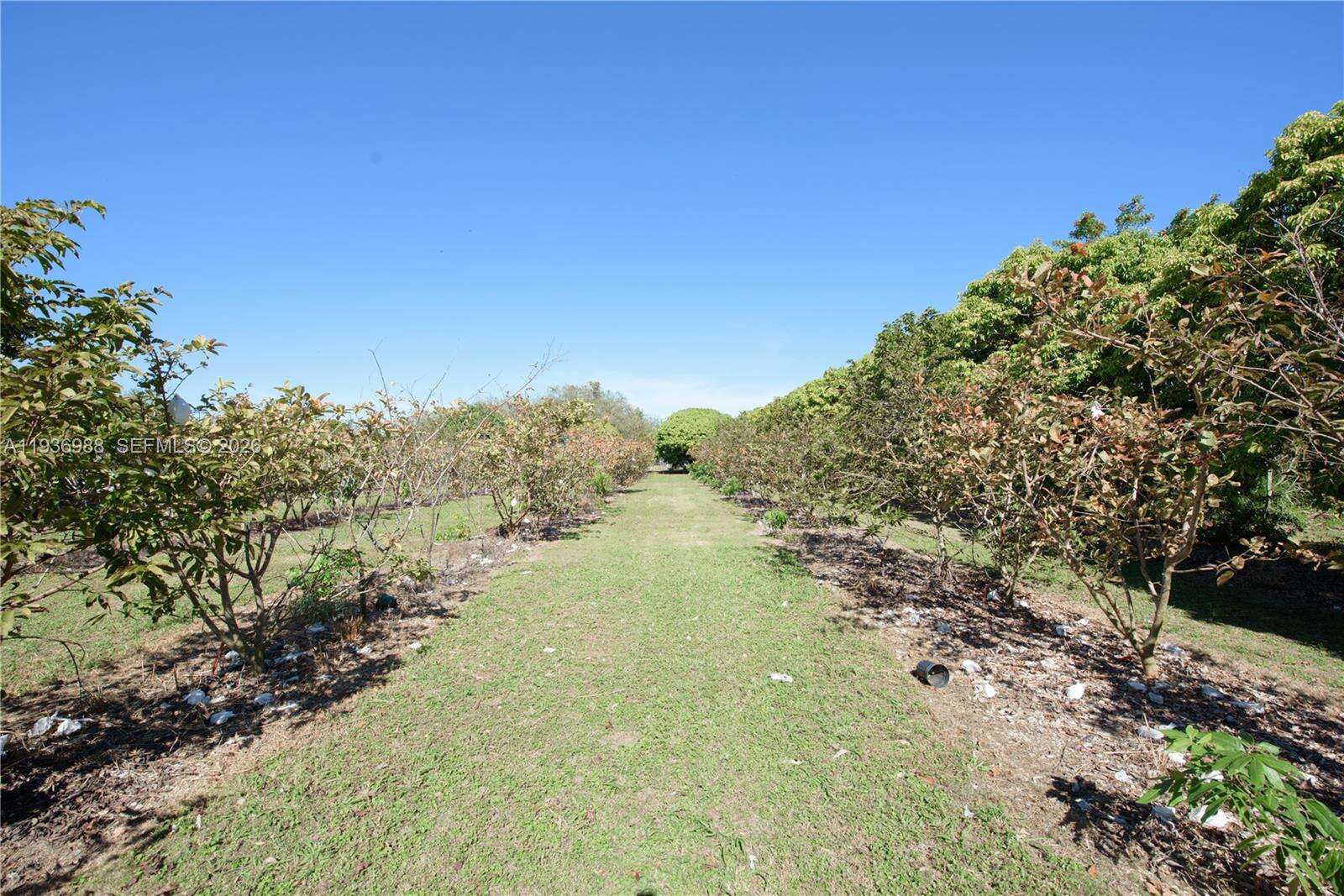 21295 376th St, Homestead, FL 33034 | Picture 29