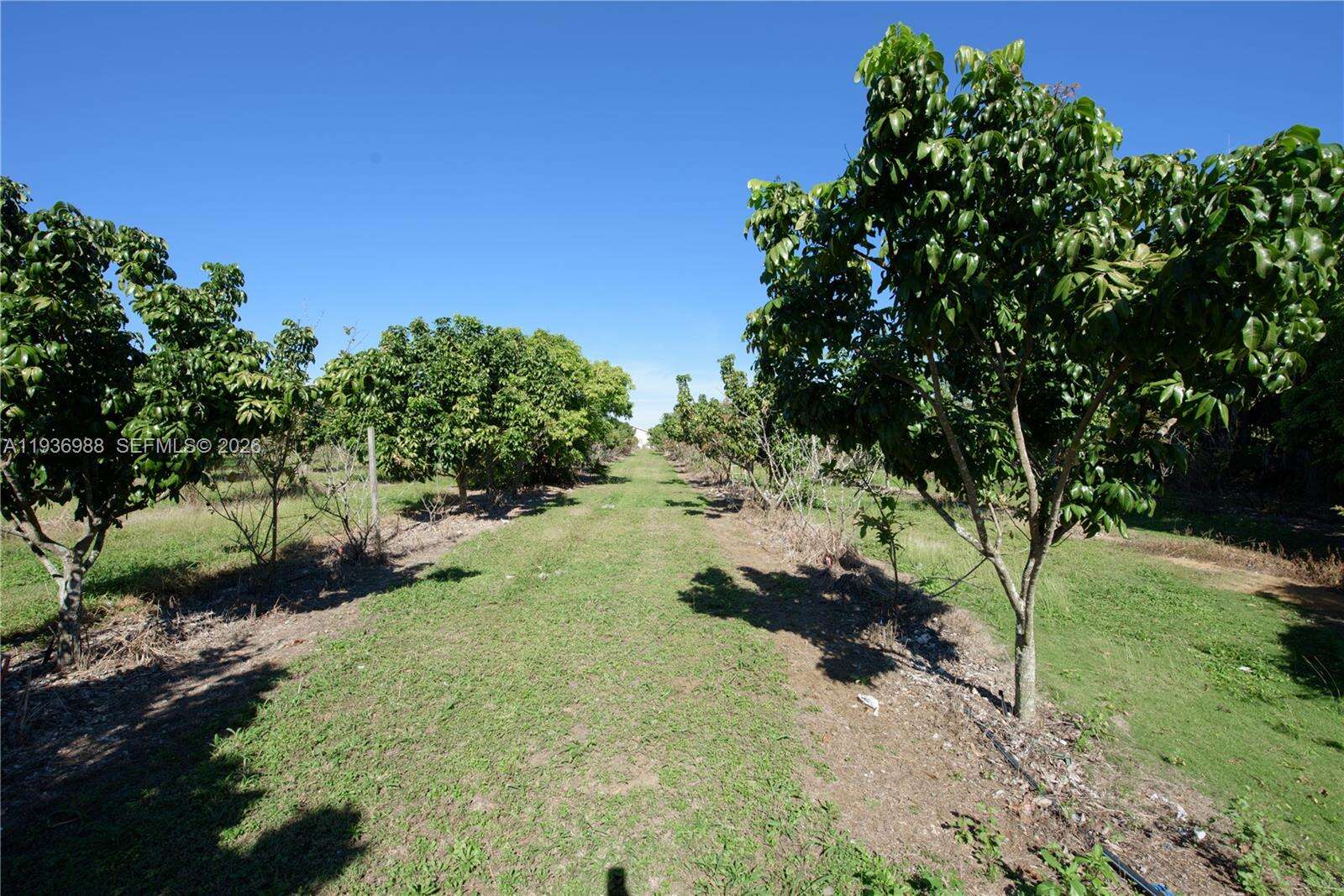 21295 376th St, Homestead, FL 33034 | Picture 34