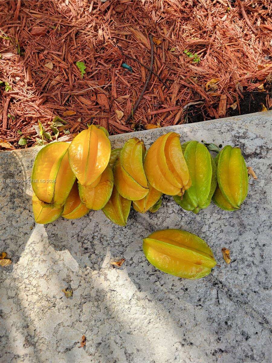 4710 Grant St, Hollywood, FL 33021 | Picture 44