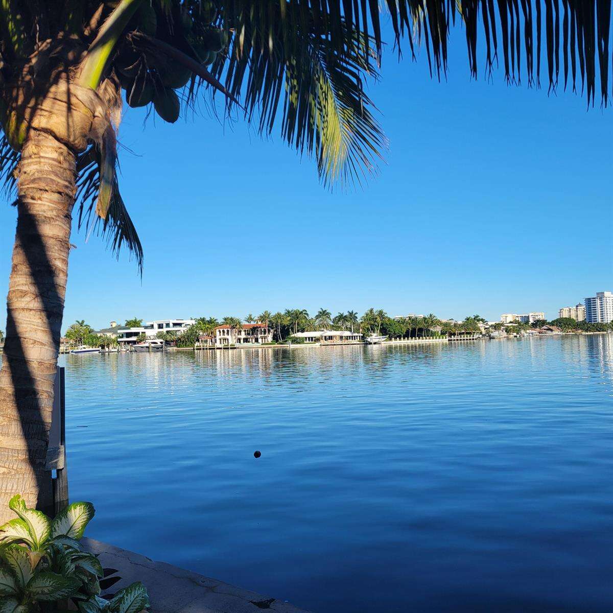 2617 Aqua Vista, Fort Lauderdale, FL 33301 - For Sale photo 19