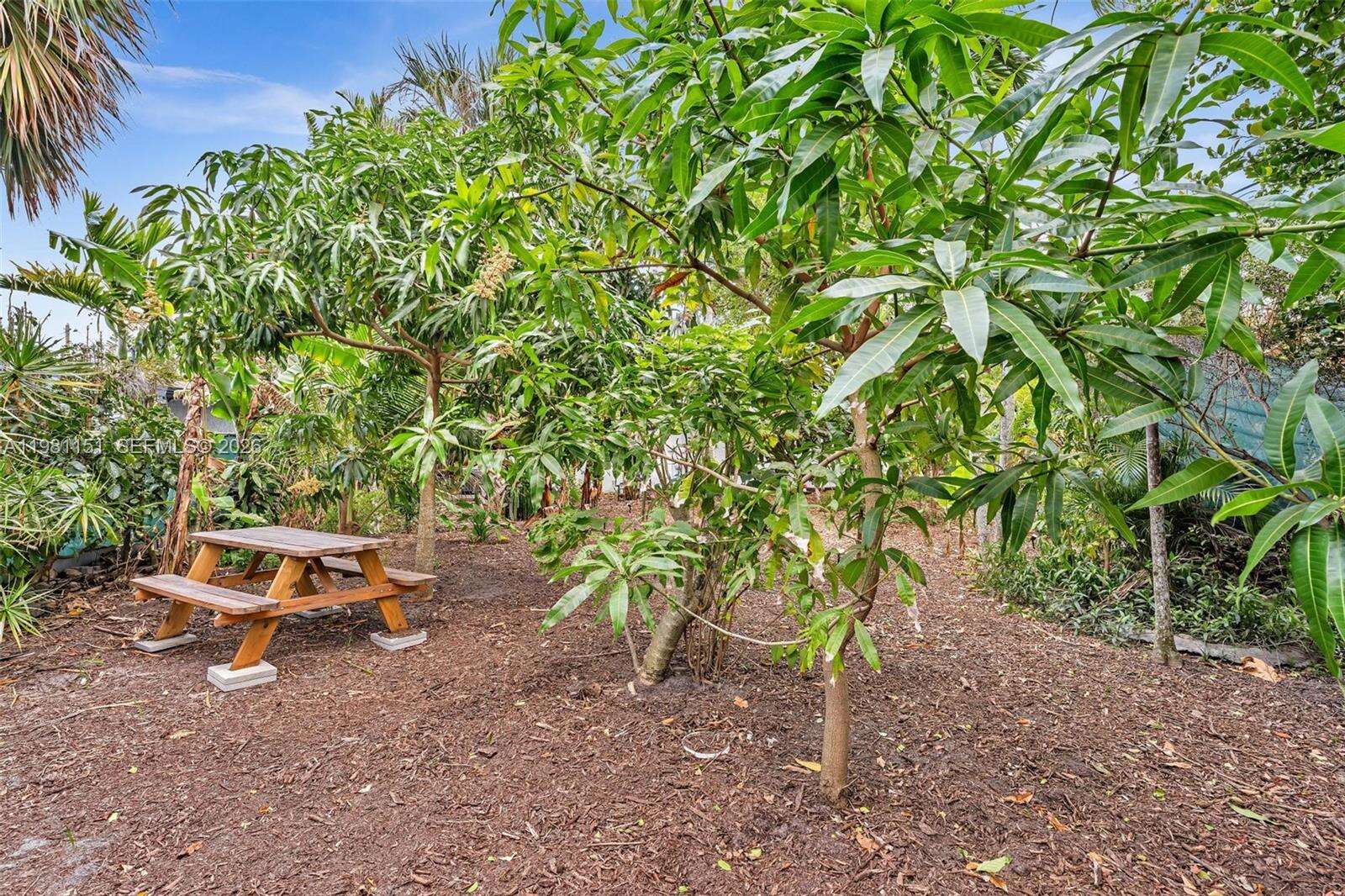 2431 Mayo St, Hollywood, FL 33020 | Picture 11