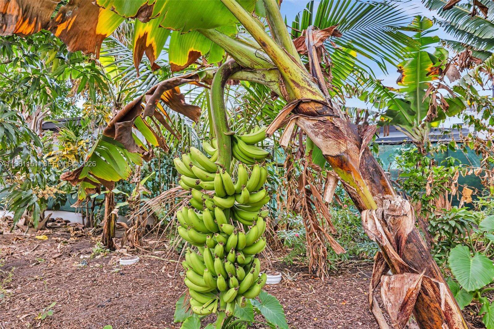 2431 Mayo St, Hollywood, FL 33020 | Picture 13