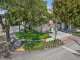 210 Washingtonia