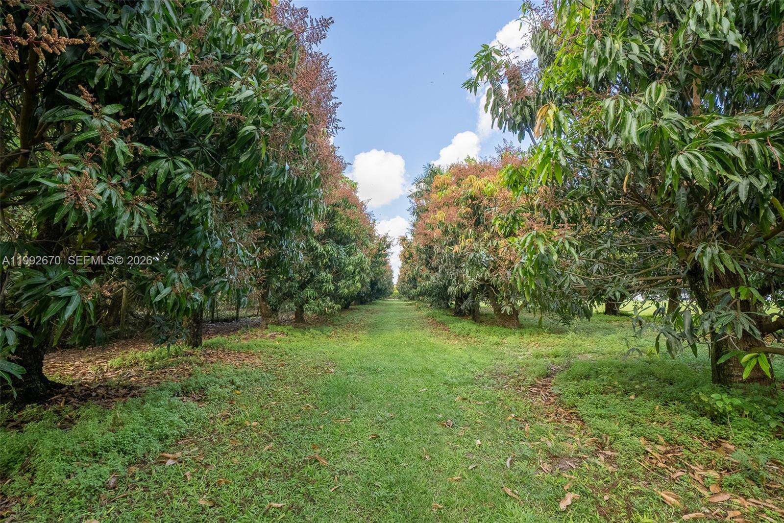 17950 192nd St, Miami, FL 33187 | Picture 28