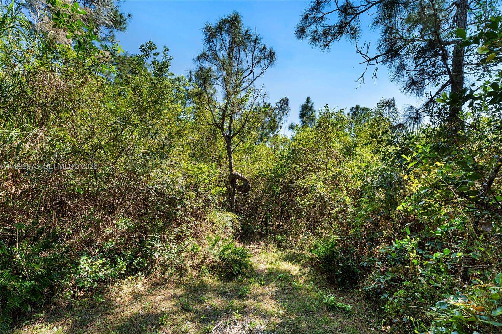 15000 200th St, Miami, FL 33187 | Picture 51