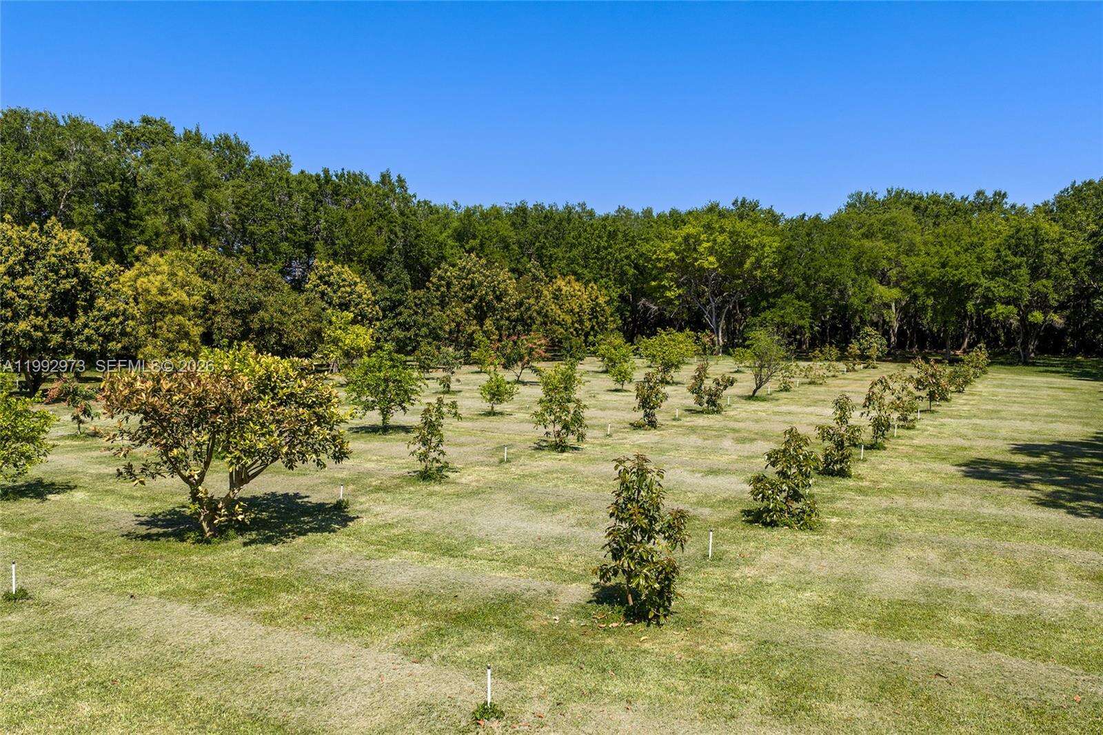 15000 200th St, Miami, FL 33187 | Picture 53