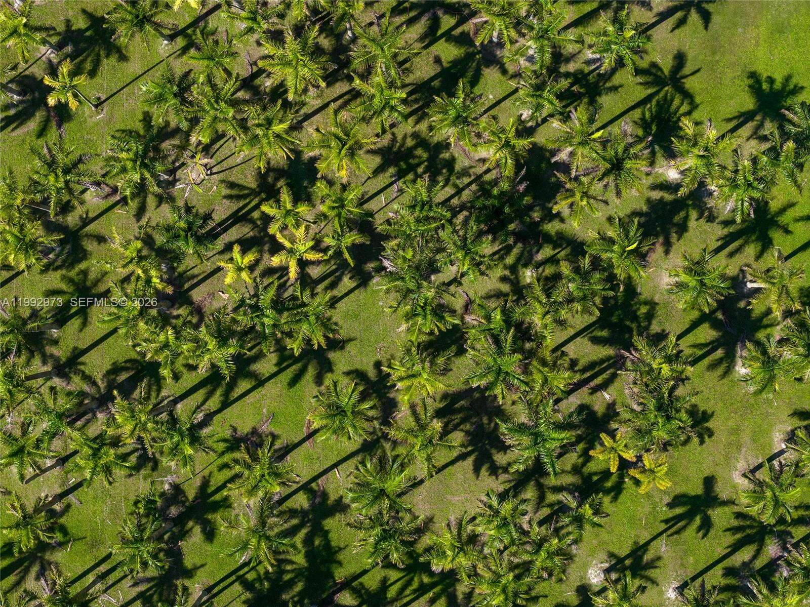 15000 200th St, Miami, FL 33187 | Picture 59