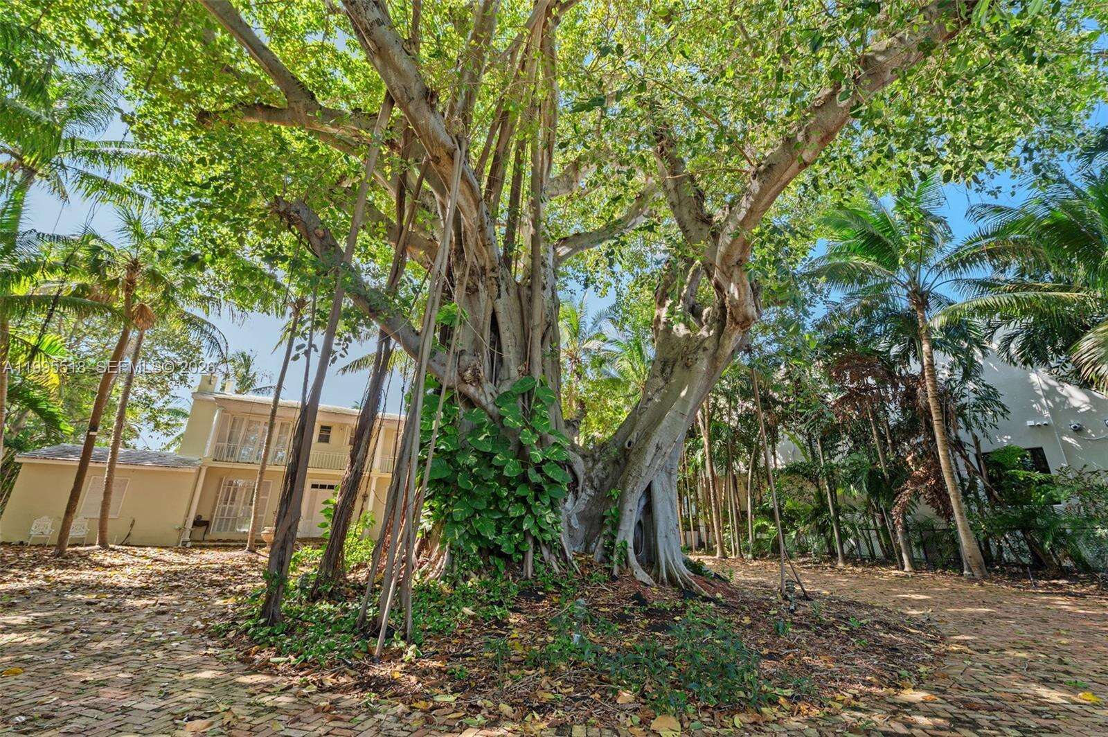 220 Bal Bay Dr, Bal Harbour, FL 33154 | Picture 6