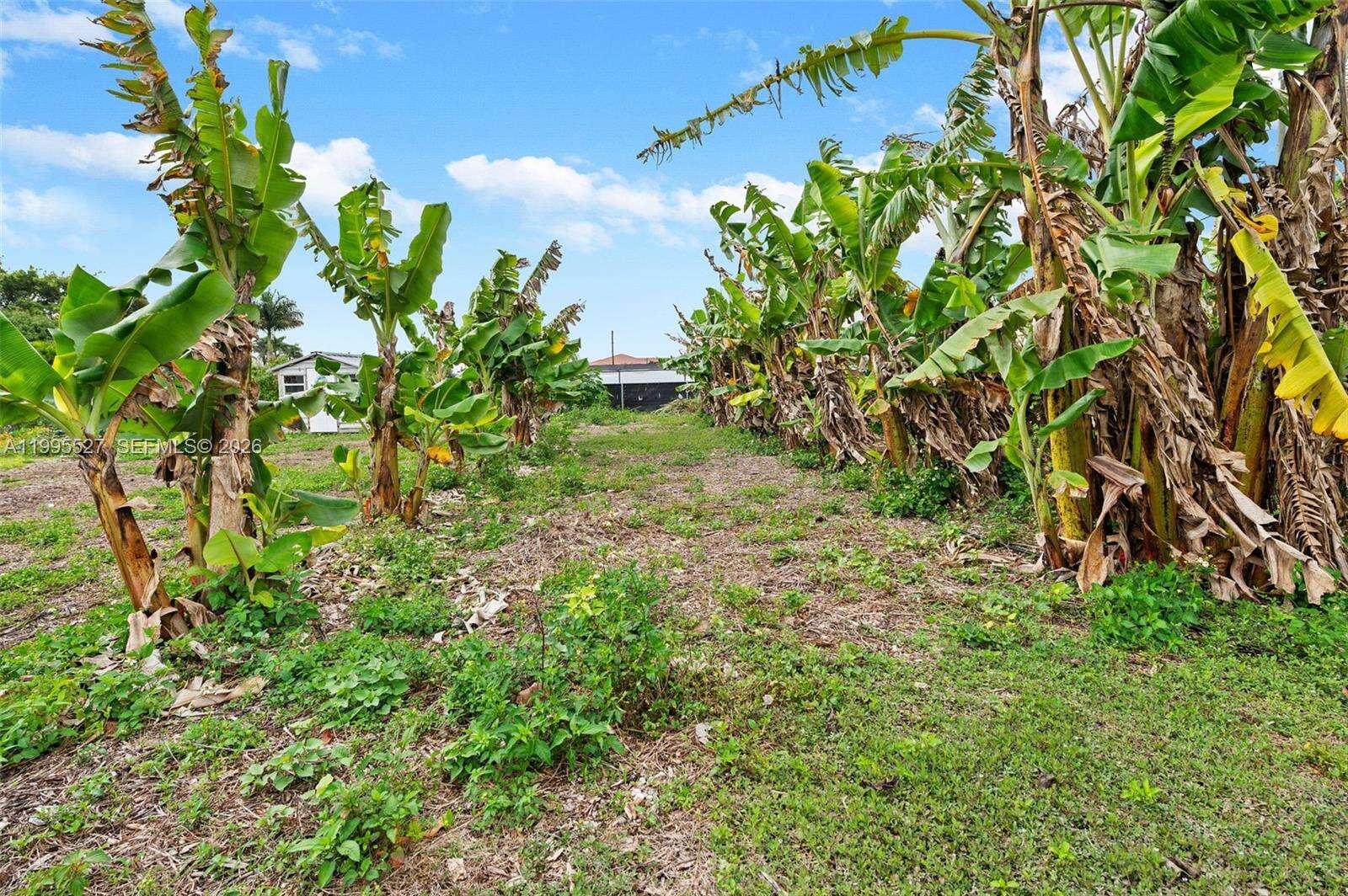 20255 154th Ave, Miami, FL 33187 | Picture 38