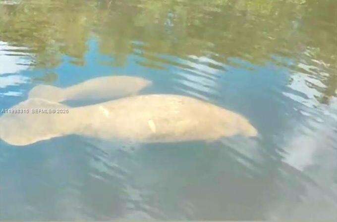 3043 Hayes Street, Hollywood, FL 33021 | Picture 37