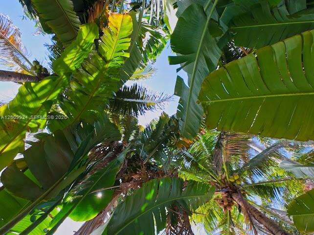 1435 Grant St, Hollywood, FL 33020 | Picture 59