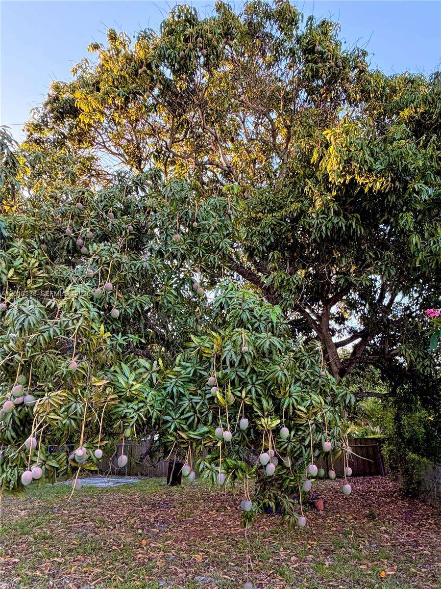 2711 Adams St, Hollywood, FL 33020 - For Sale photo 30