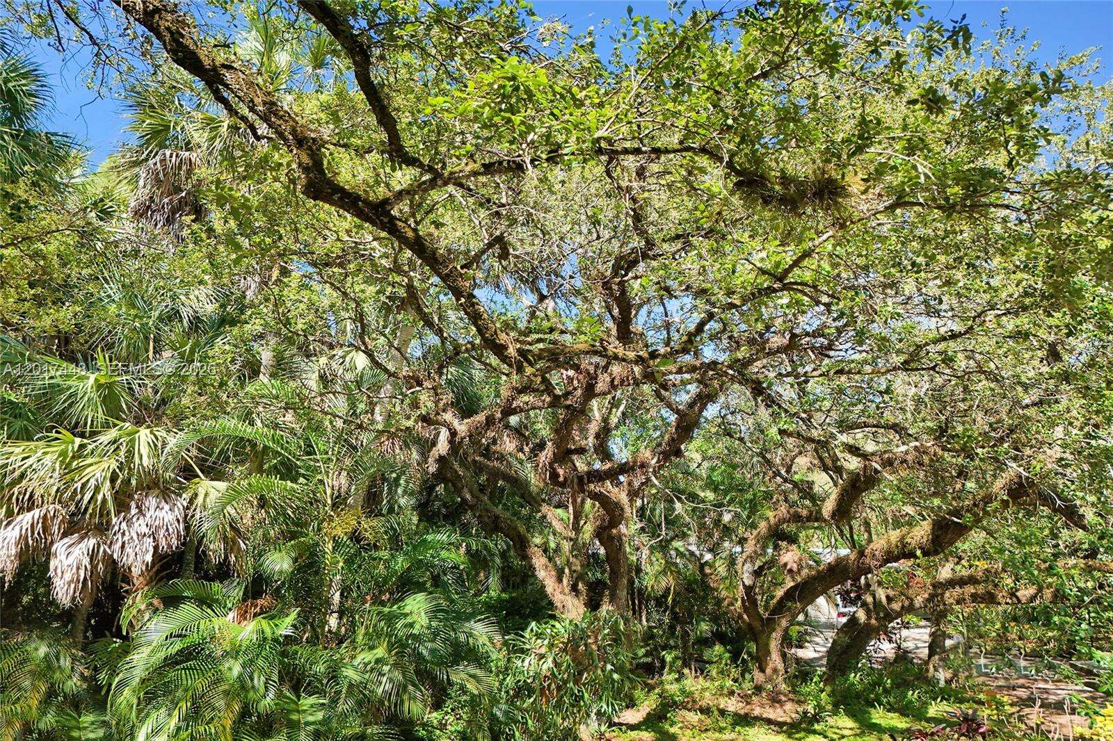  , Fort Lauderdale, FL 33312 | Picture 3