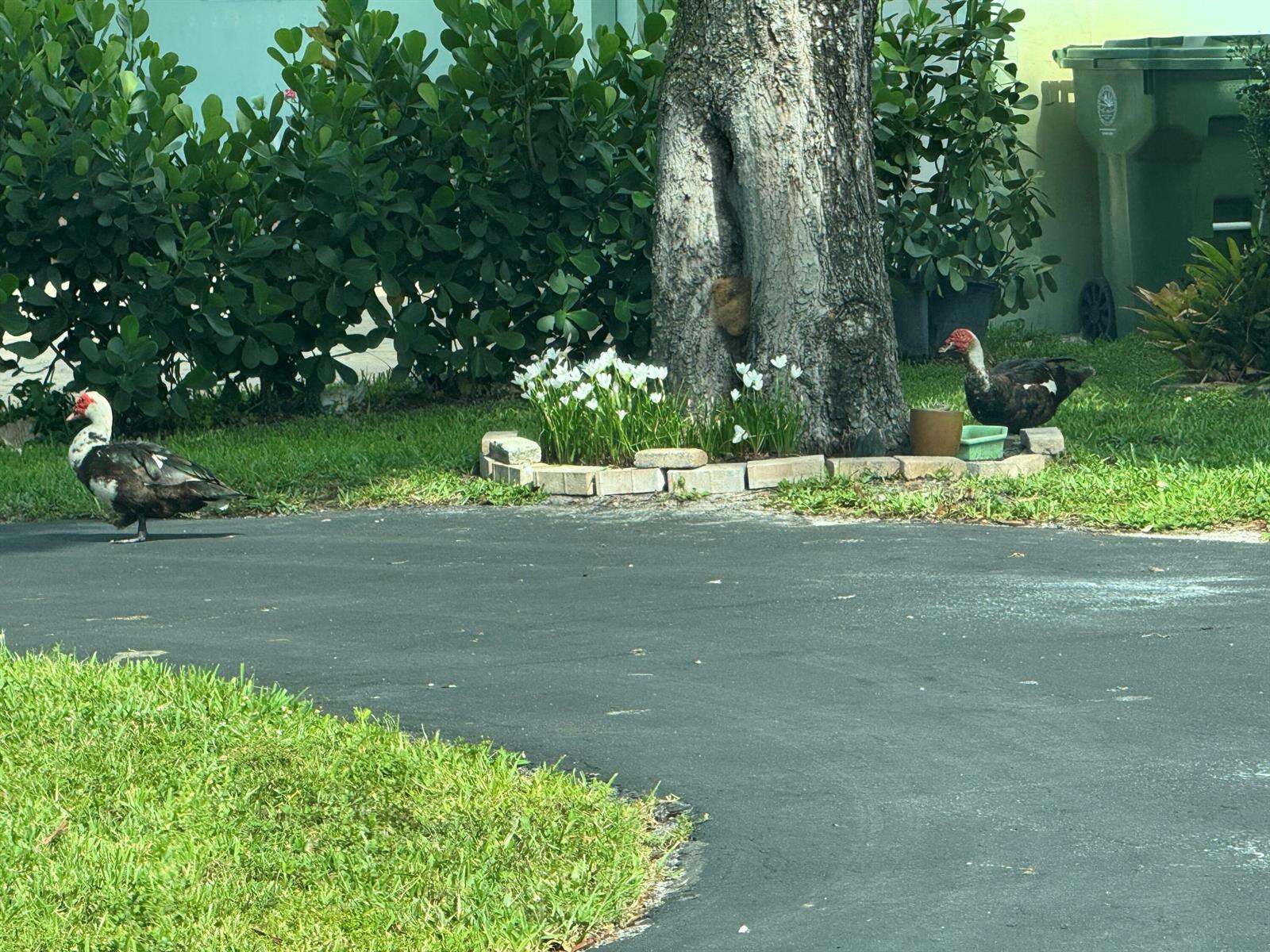 8780 11th, Pembroke Pines, FL 33024 - Pending Sale photo 14