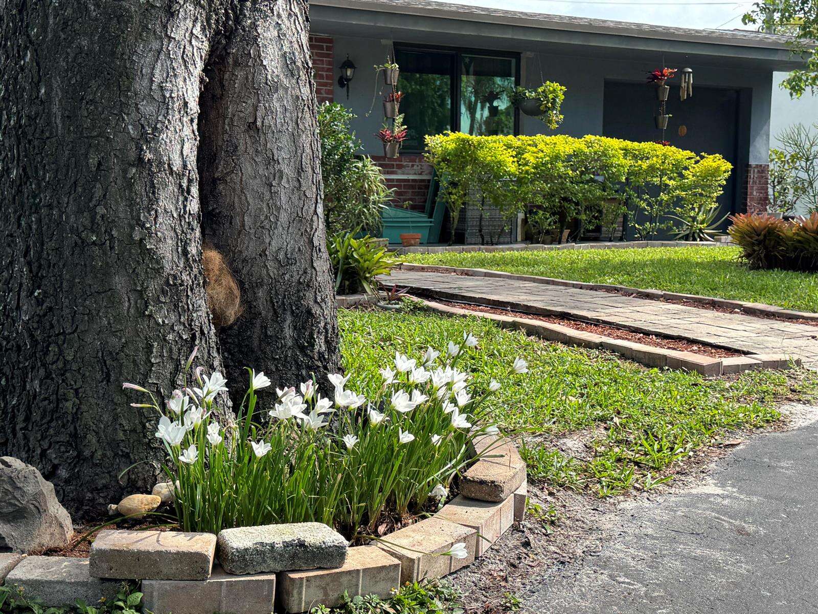 8780 11th, Pembroke Pines, FL 33024 - Pending Sale photo 7