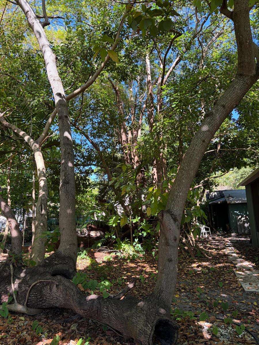 8238 9th Ave, Miami, FL 33138 - For Sale photo 36