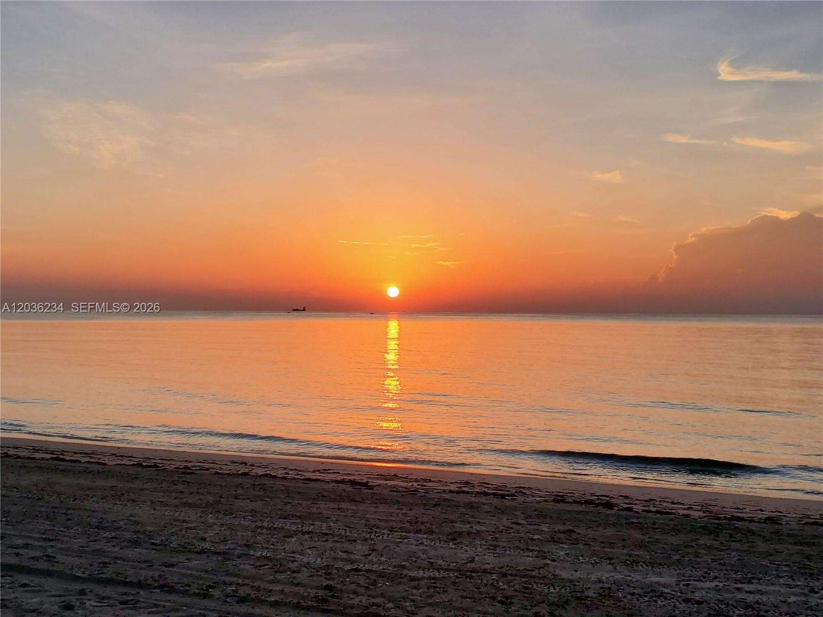 741 Tyler St, Hollywood, FL 33019 - For Sale photo 53
