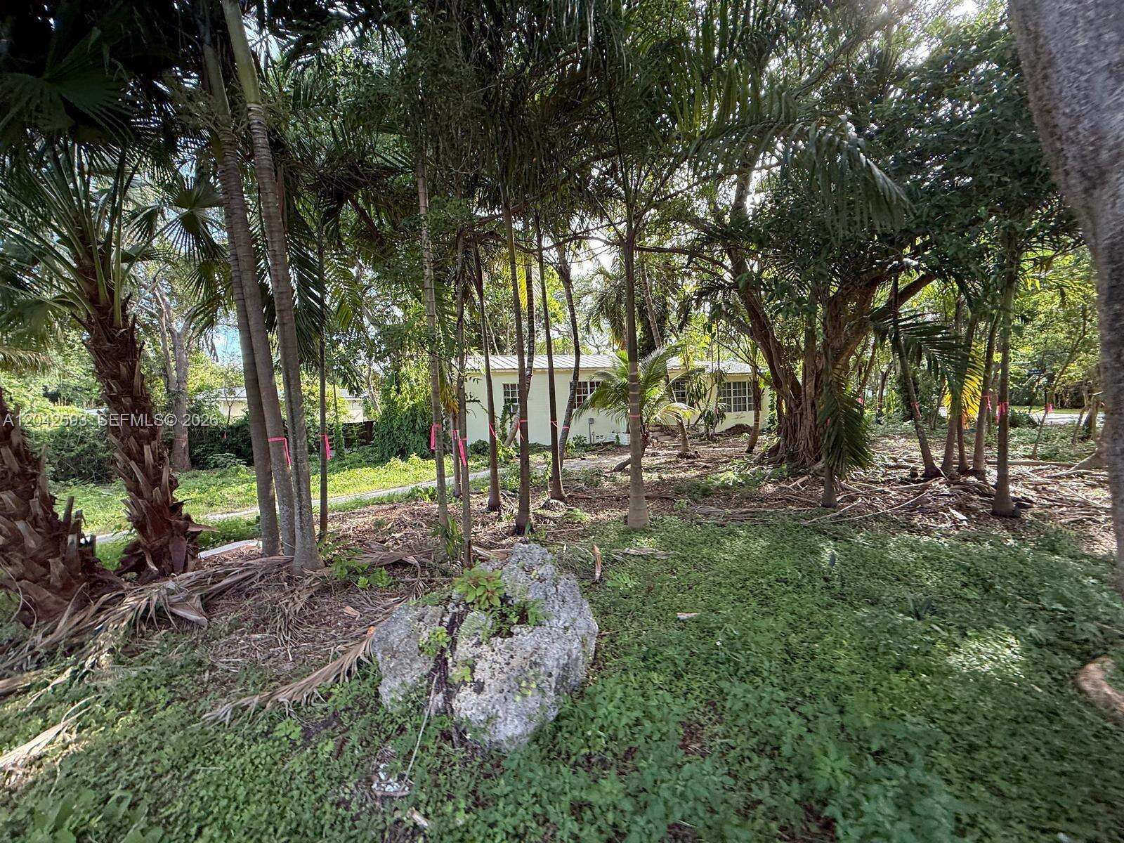 6600 64th Ct, South Miami, FL 33143 - For Sale photo 3