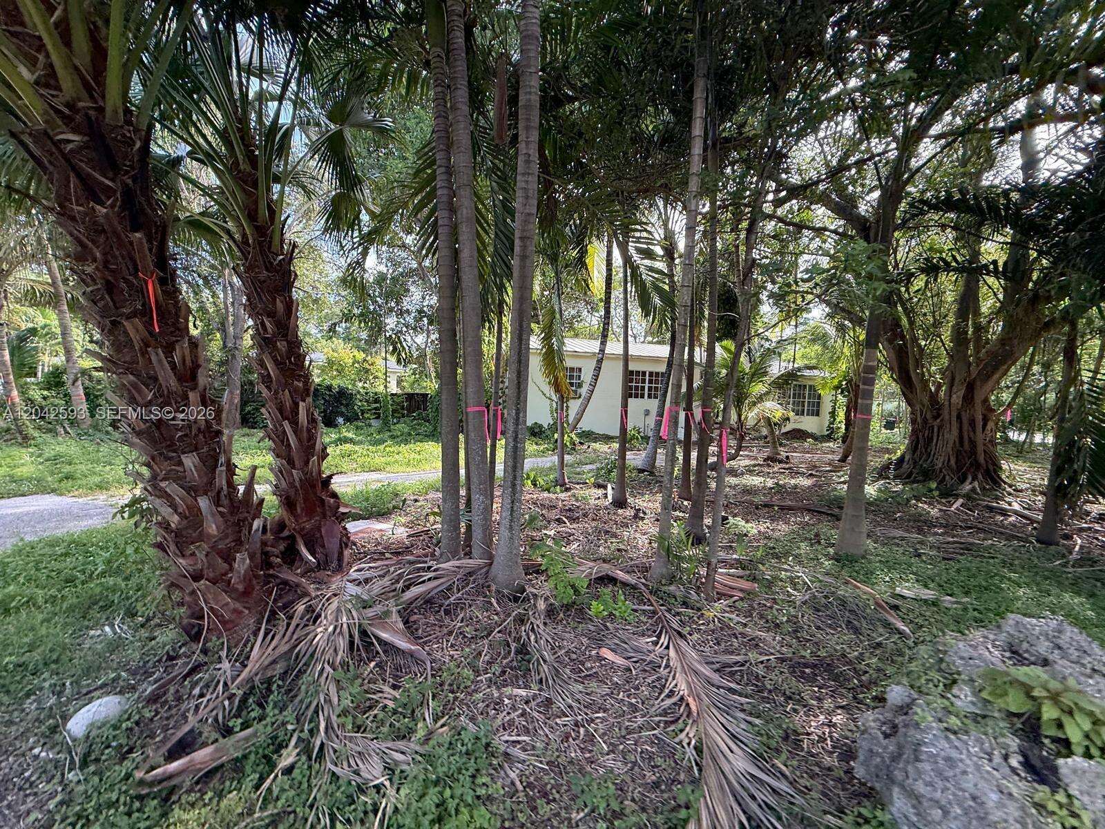 6600 64th Ct, South Miami, FL 33143 - For Sale photo 5