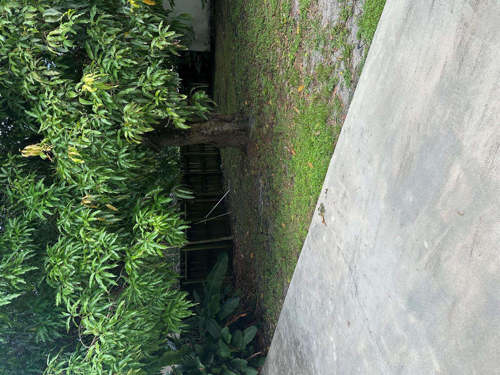 5635 Grant, Hollywood, FL 33021 - For Sale photo 30