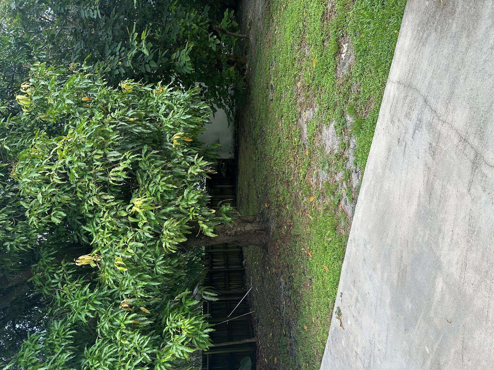 5635 Grant, Hollywood, FL 33021 - For Sale photo 31