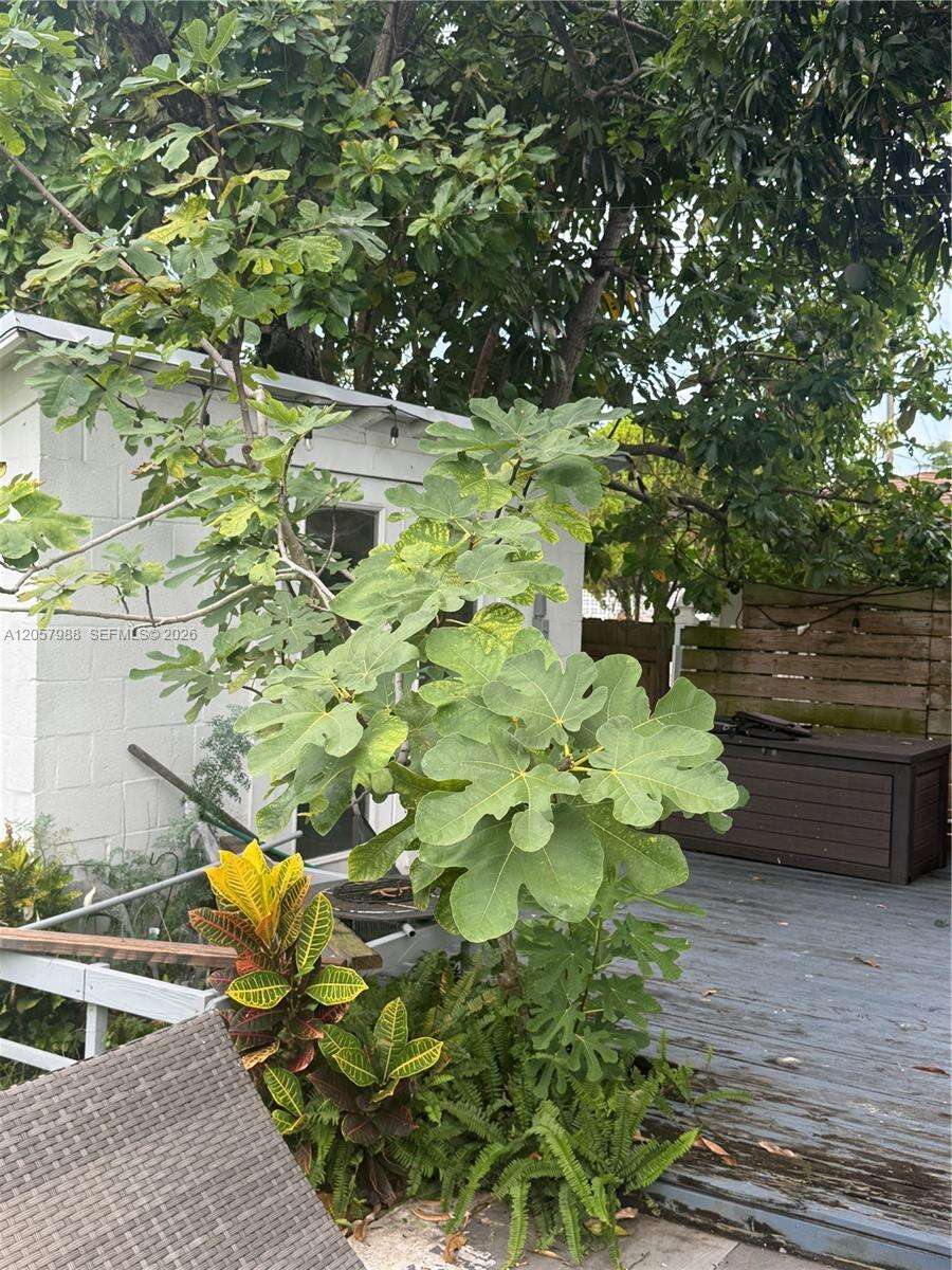 701 4th Ct, Hallandale Beach, FL 33009 - For Sale photo 56