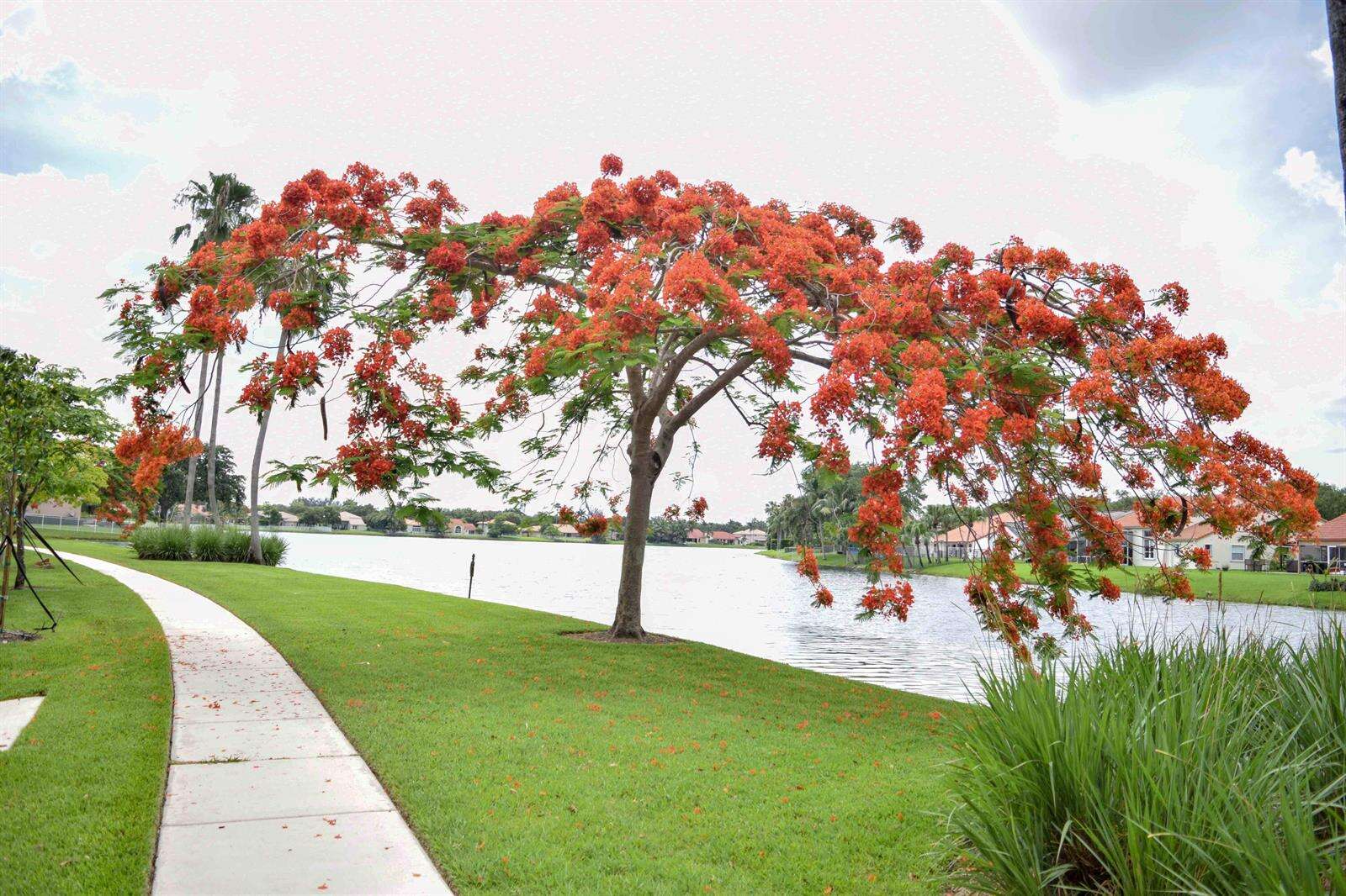 3877 Bimini, Cooper City, FL 33026 - For Sale photo 31