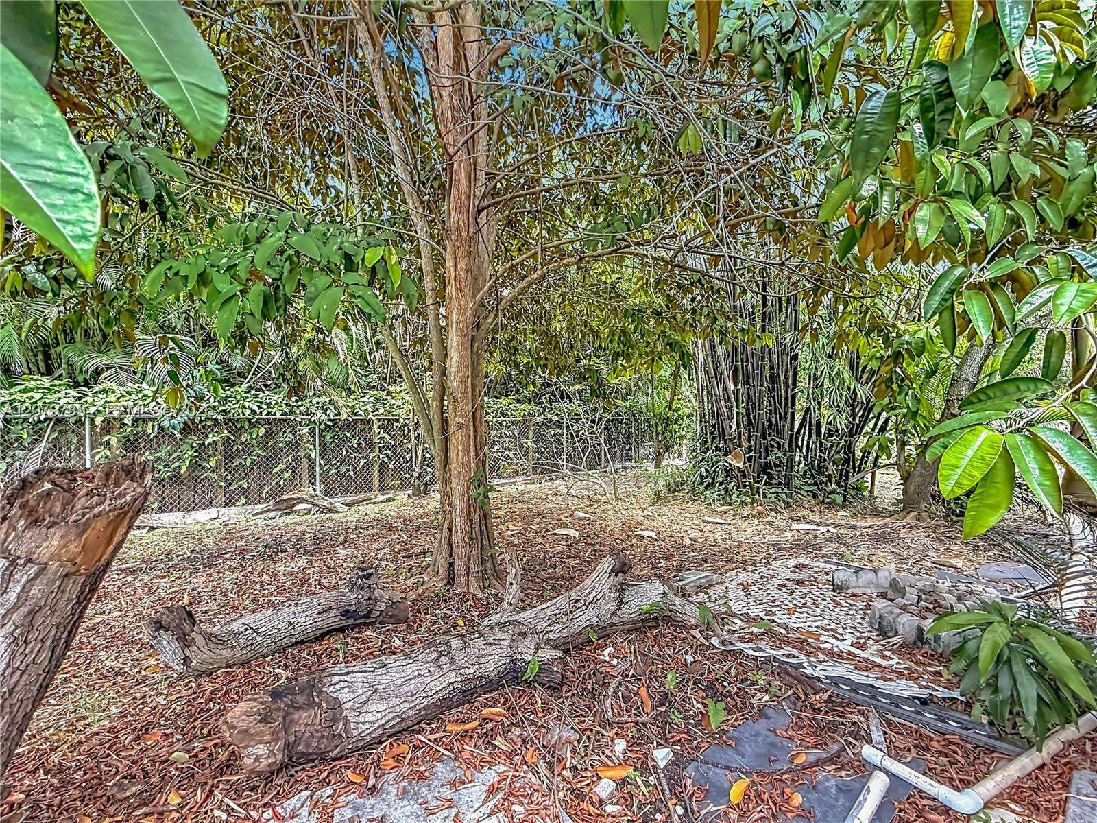 5661 Allen St, Hollywood, FL 33021 - For Sale photo 52