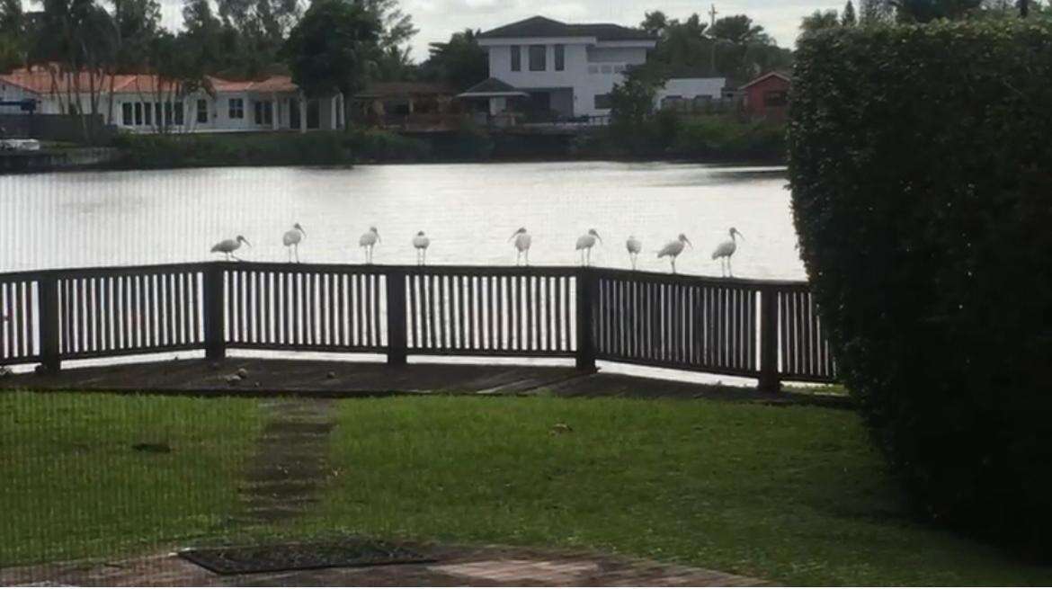 2390 199th, Aventura, FL 33180 - For Sale photo 7