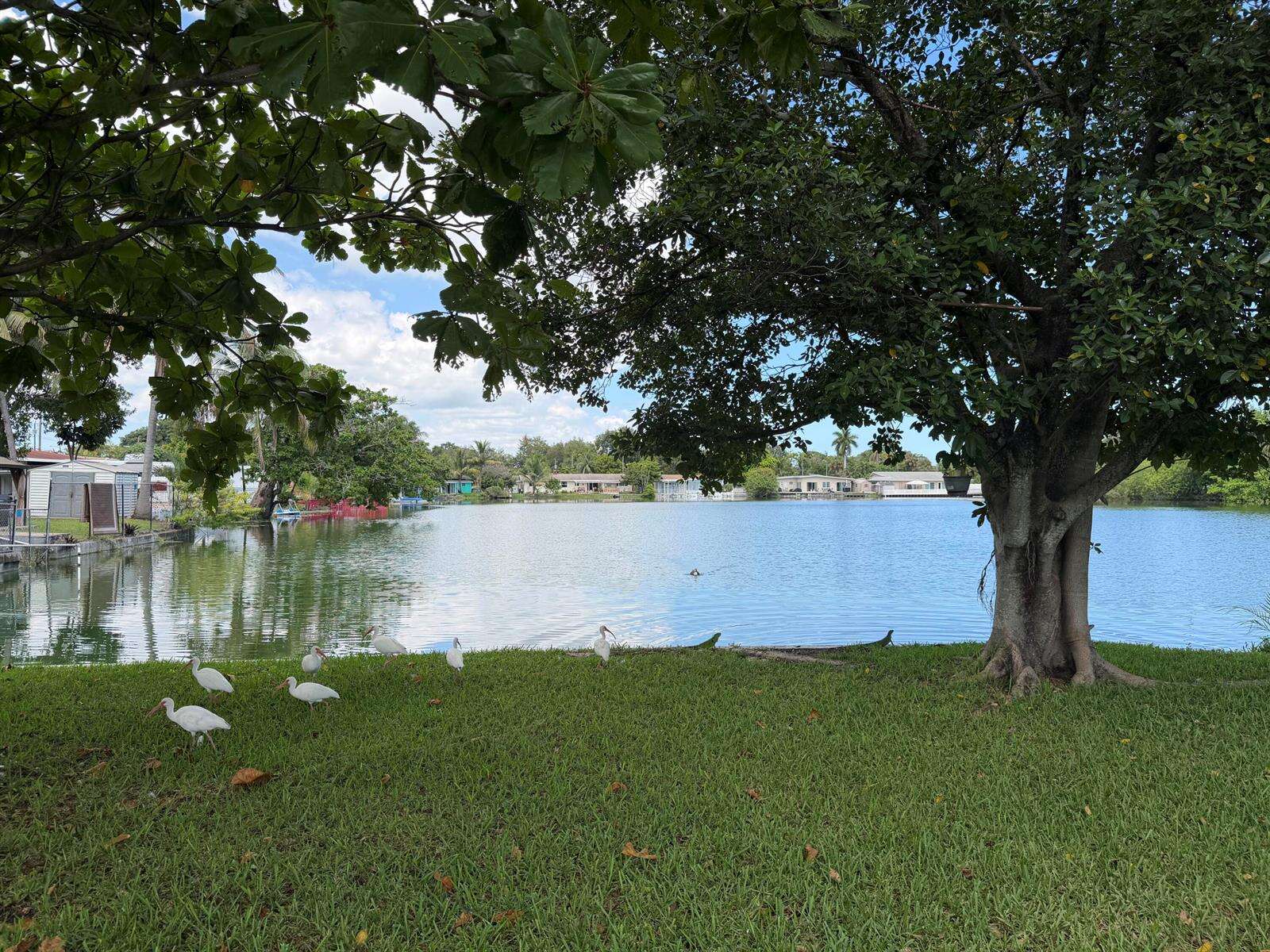 531 11th, Hallandale Beach, FL 33009 - For Sale photo 49