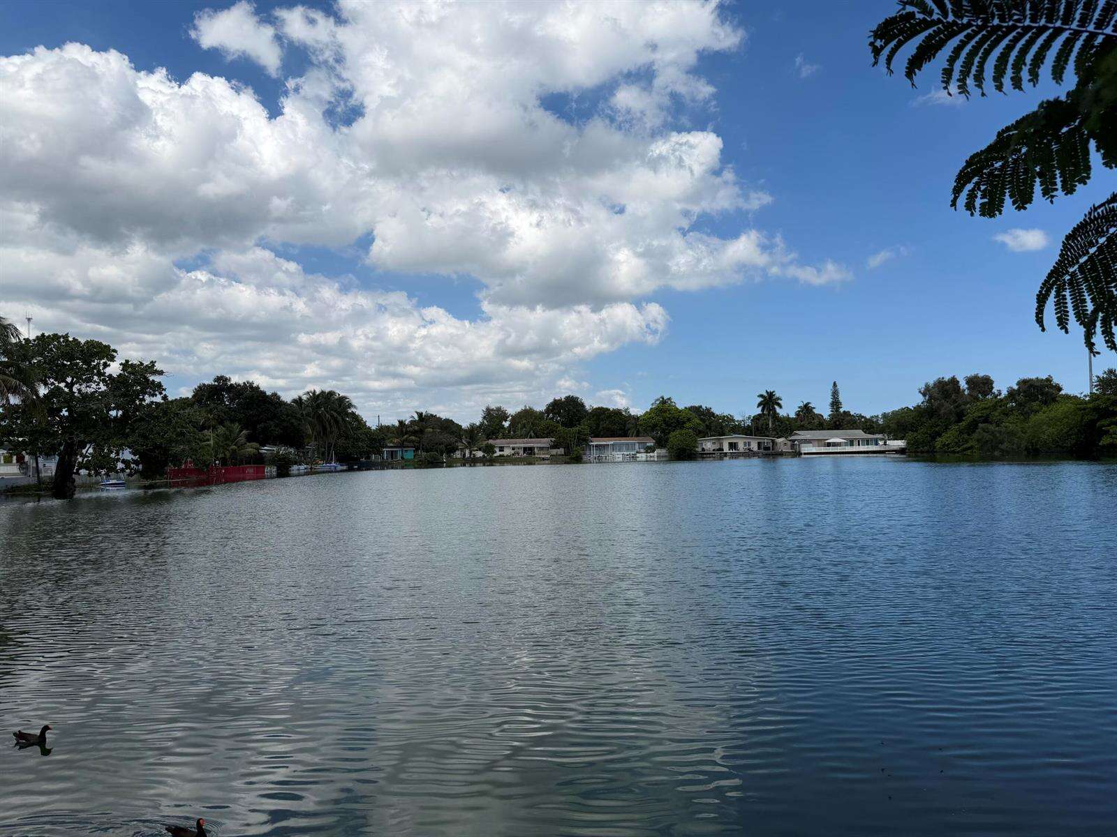 531 11th, Hallandale Beach, FL 33009 - For Sale photo 50