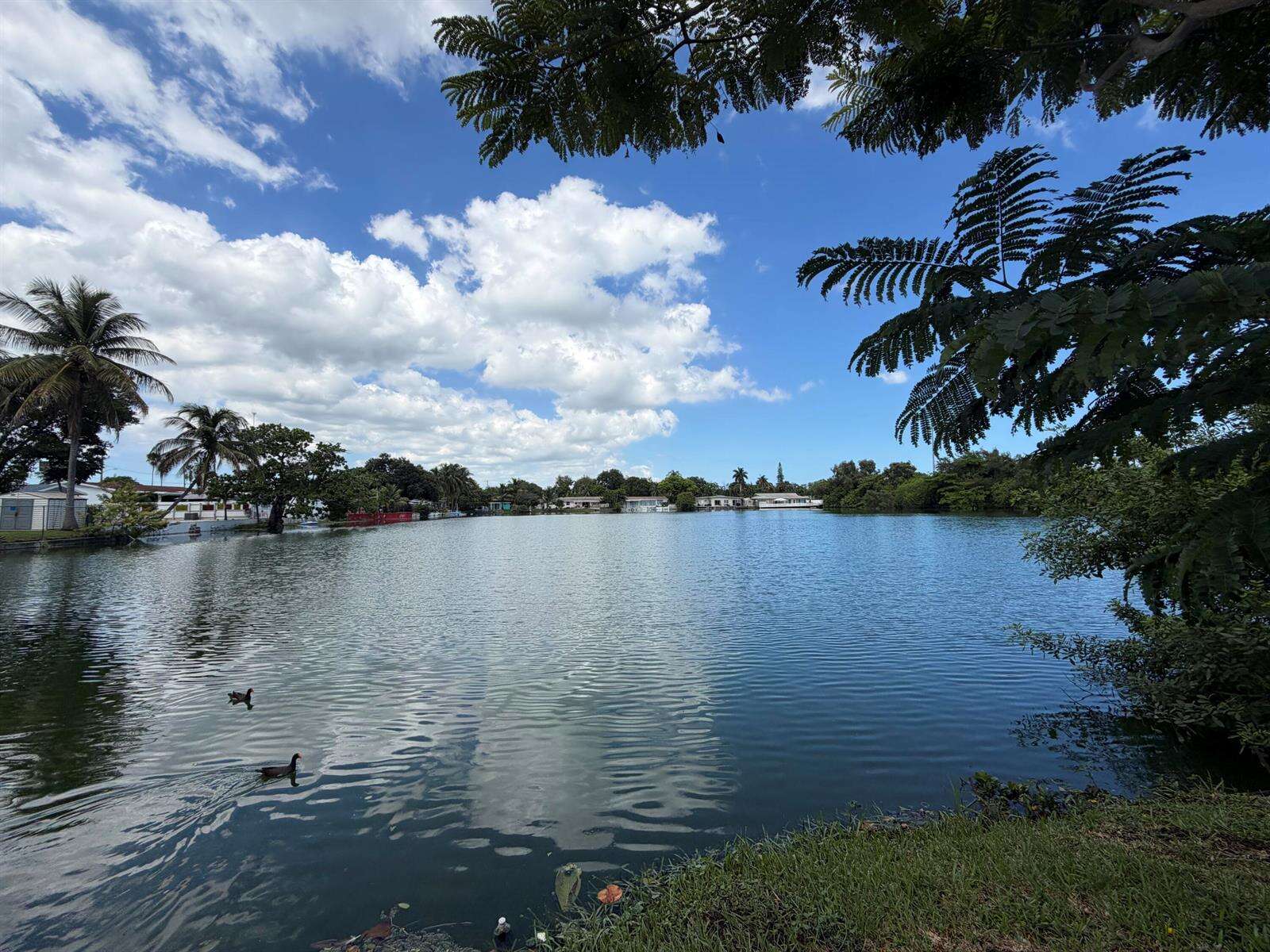 531 11th, Hallandale Beach, FL 33009 - For Sale photo 51