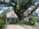 3158 Carter St