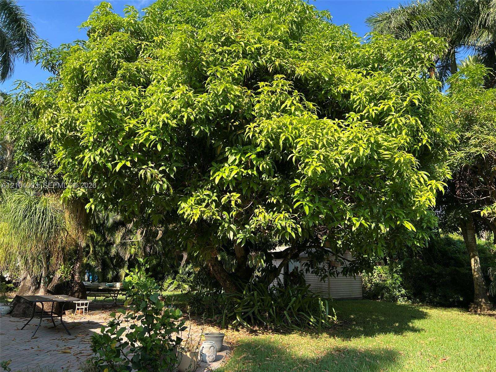 30221 172nd Ave, Homestead, FL 33030 - For Sale photo 86
