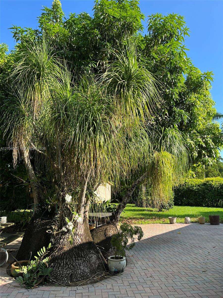 30221 172nd Ave, Homestead, FL 33030 - For Sale photo 92