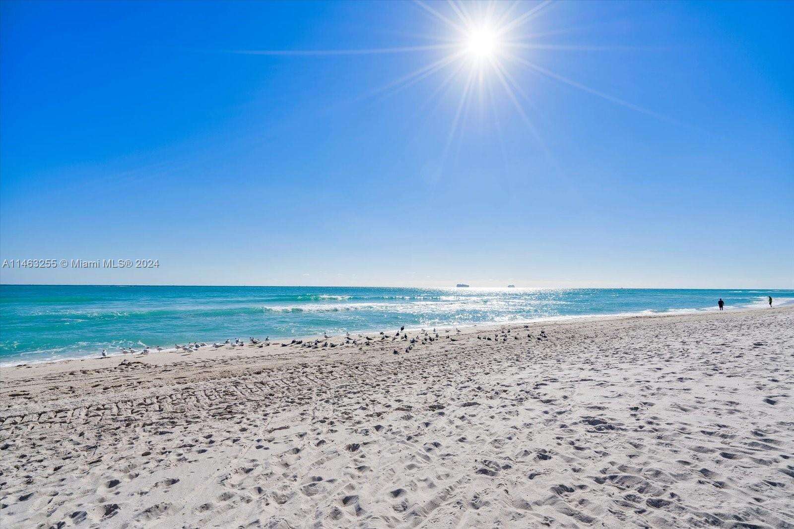 The Pavilion at 5601 Collins Ave, Miami Beach, FL 33140 - For Sale photo 5