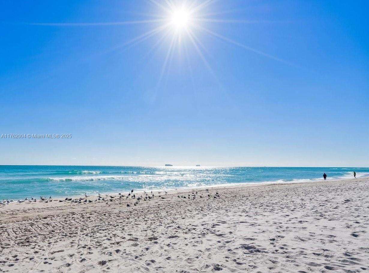 The Pavilion at Miami Beach, FL 33140 - For Sale photo 23