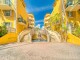 Surfside Palms
