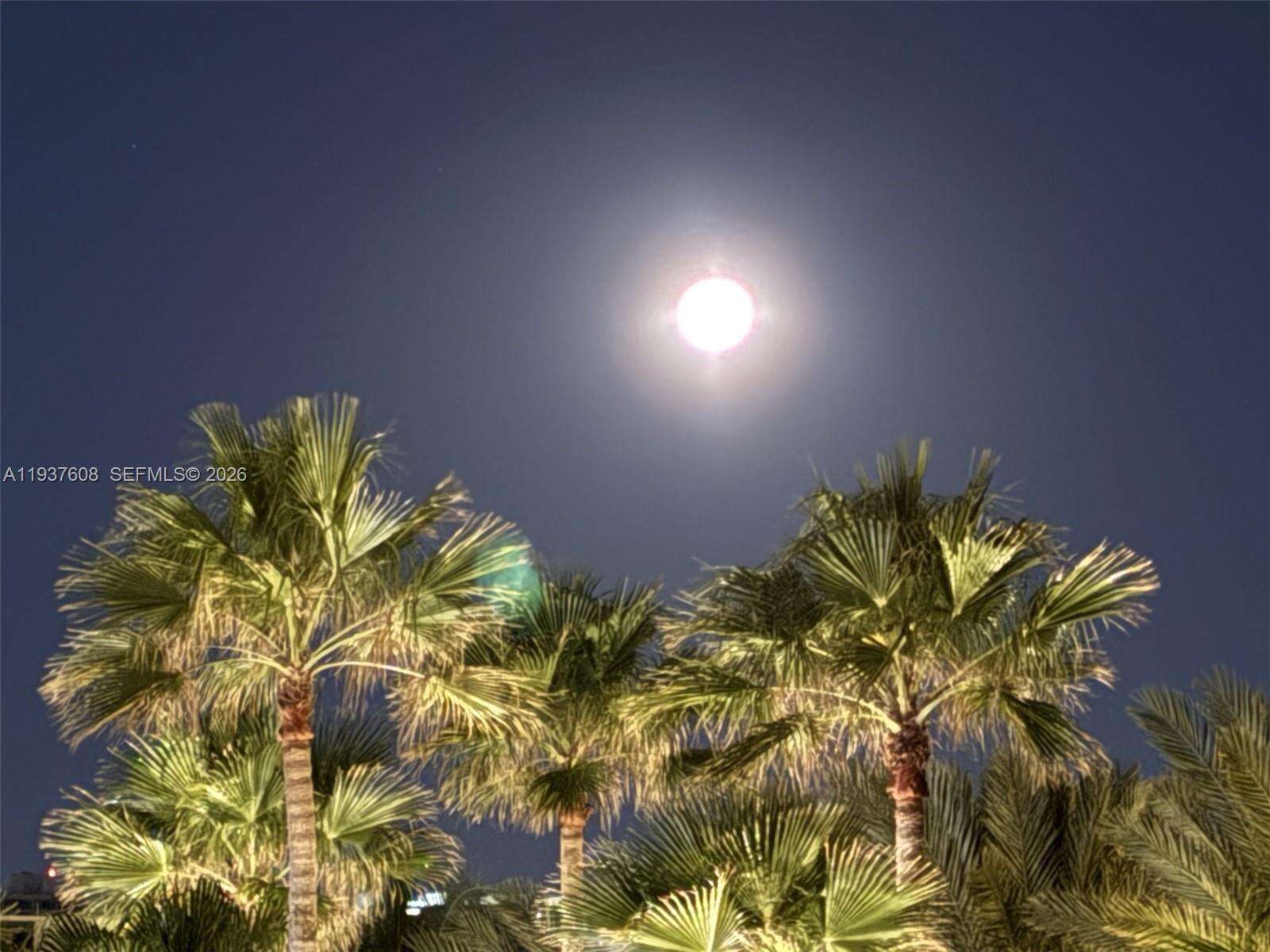 THE PINNACLE - 17555 Collins Ave, Sunny Isles Beach, FL 33160 | Picture 27