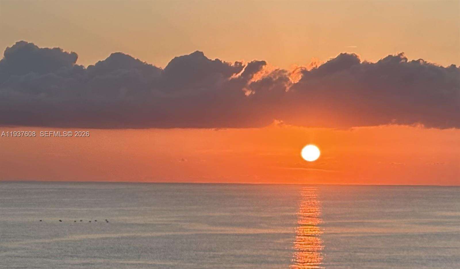 THE PINNACLE - 17555 Collins Ave, Sunny Isles Beach, FL 33160 | Picture 32