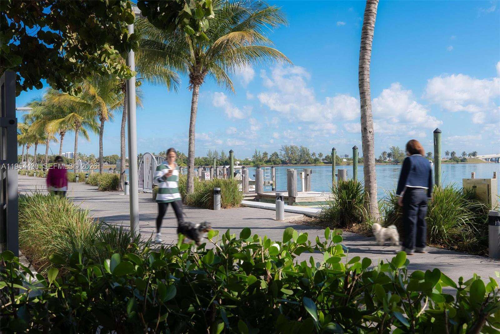 ONE PARAISO - 3131 7 Ave, Miami, FL 33137 | Picture 62