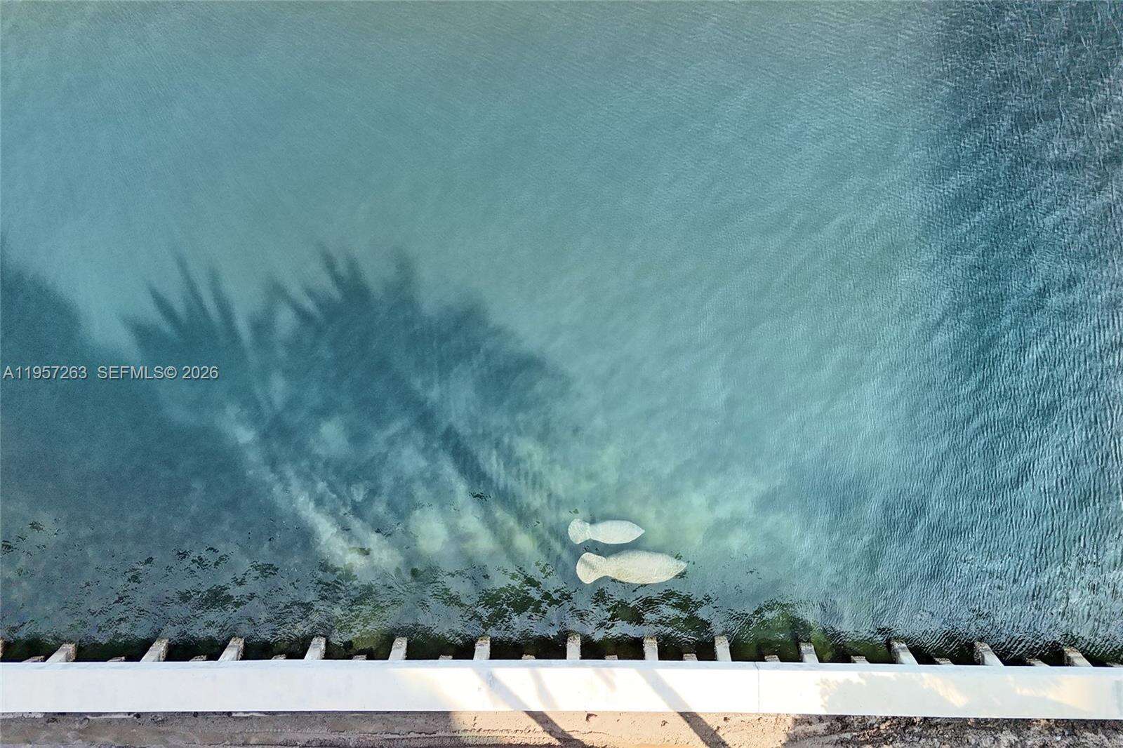 HAMPTONS SOUTH - 20201 Country Club Dr, Aventura, FL 33180 | Picture 49