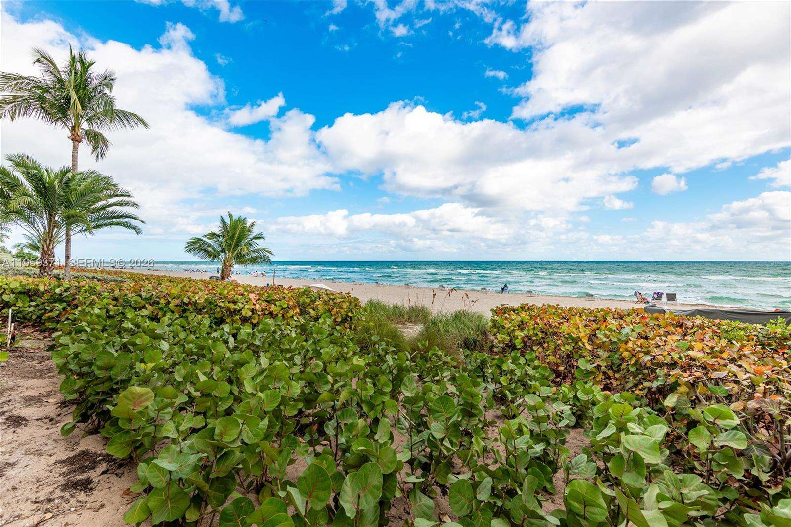 The Beach Club at 1850 Ocean Dr, Hallandale Beach, FL 33009 - For Sale photo 30