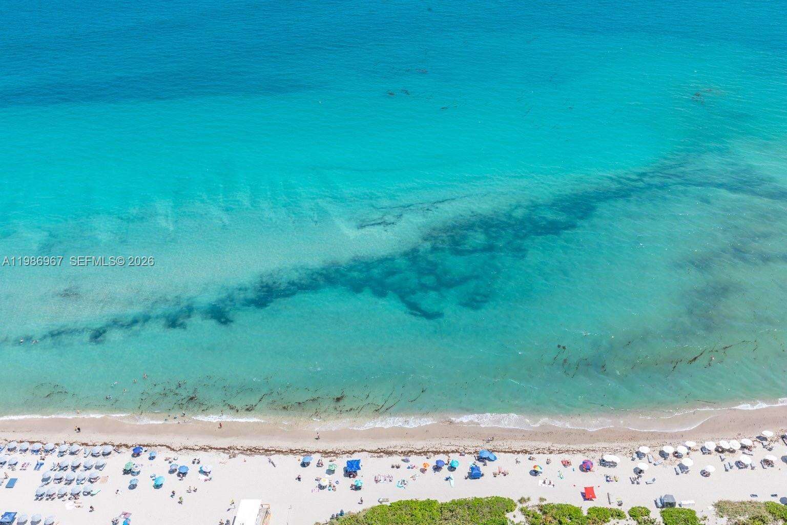 BEACH CLUB THREE - 1800 Ocean Dr, Hallandale Beach, FL 33009 | Picture 32